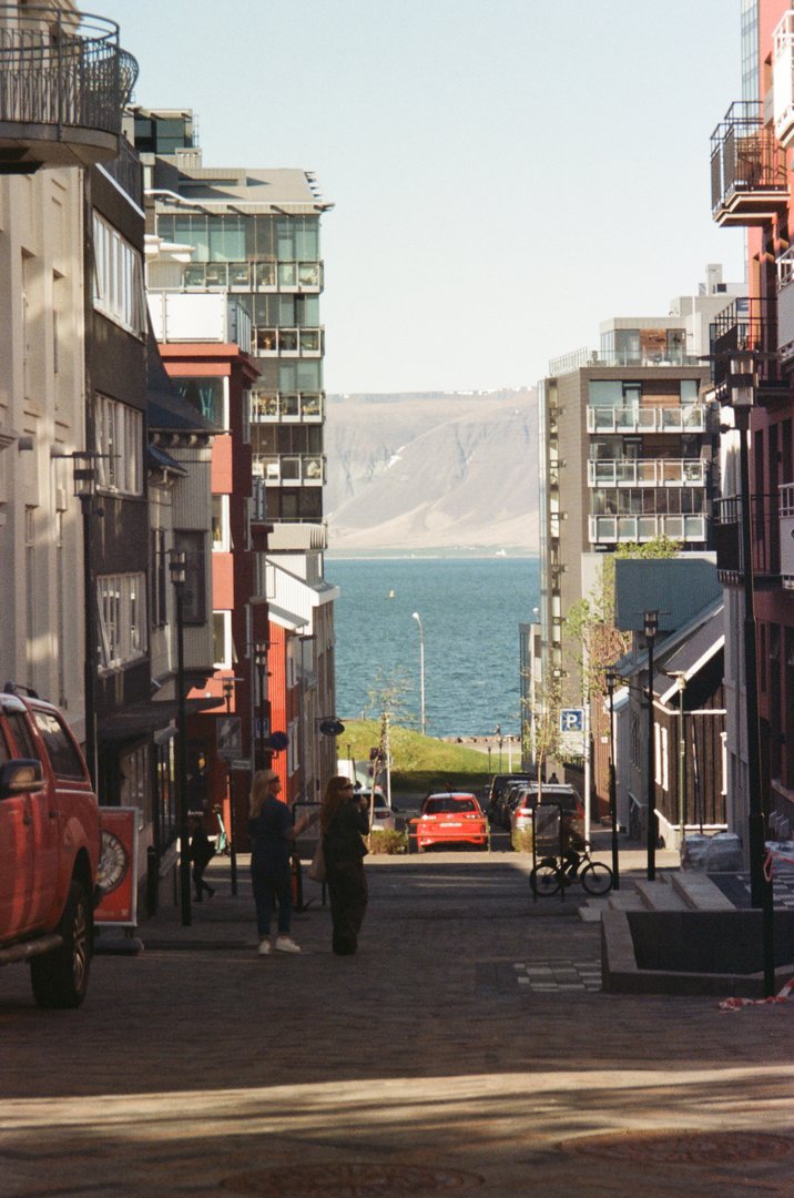 Film photo 46
