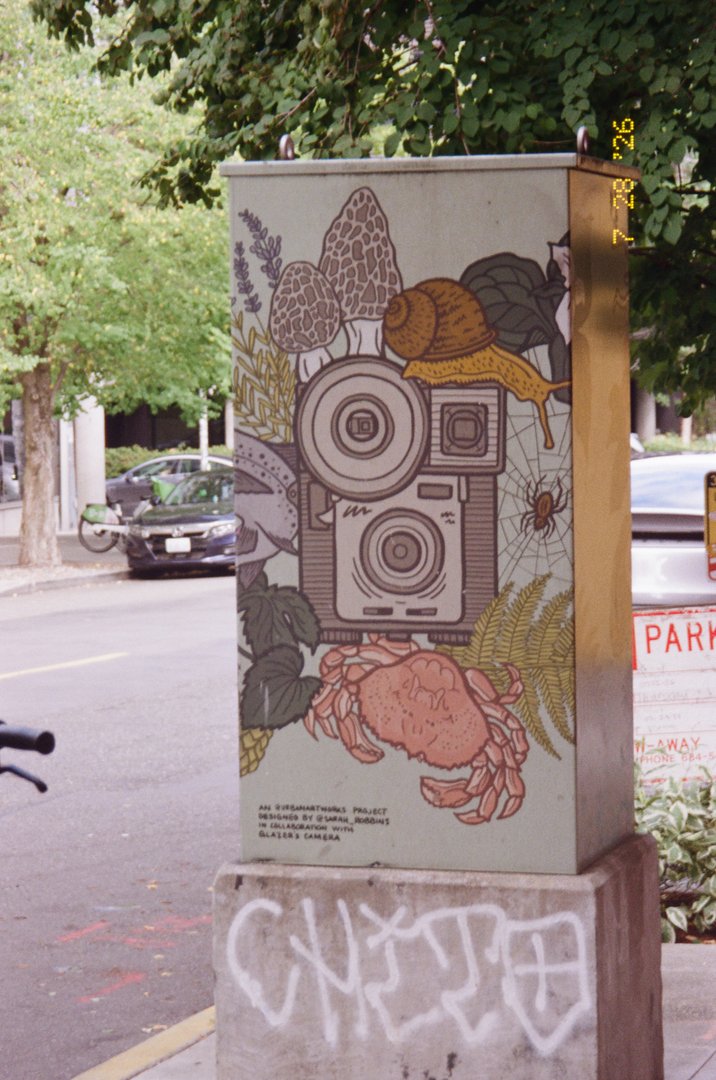 Film photo 47