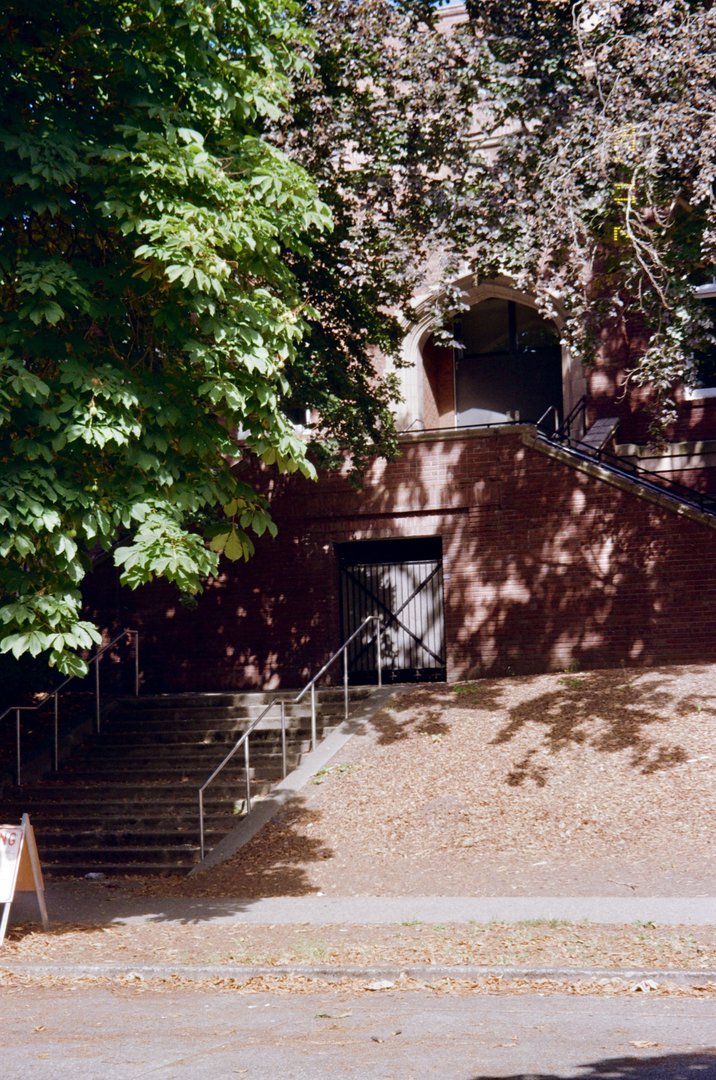 Film photo 59